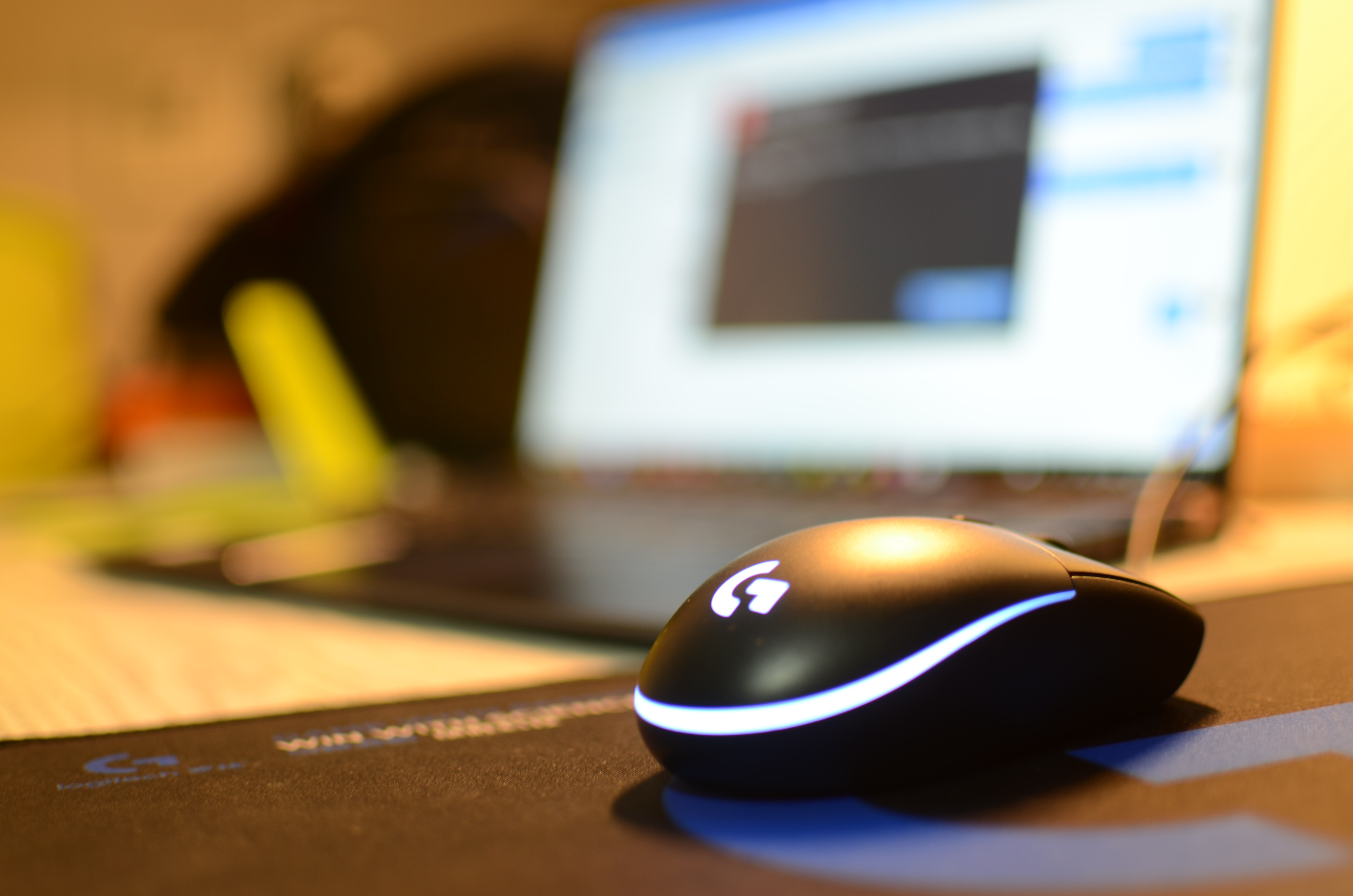 one of my photo of a mouse